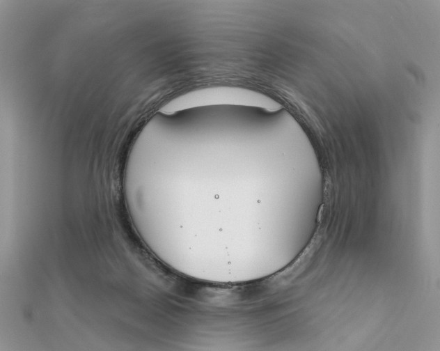 X0000111890170200908131703