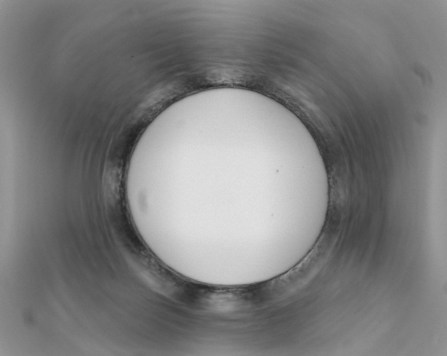 X0000111890171200908131703