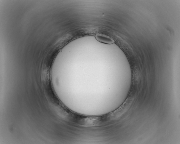 X0000111890172200908131703