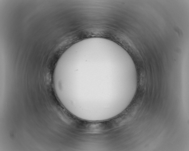 X0000111890173200908131703