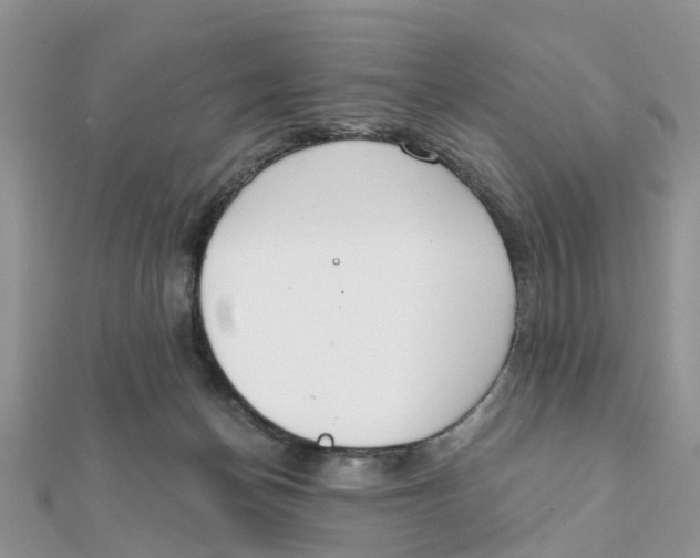 X0000111890174200908131703