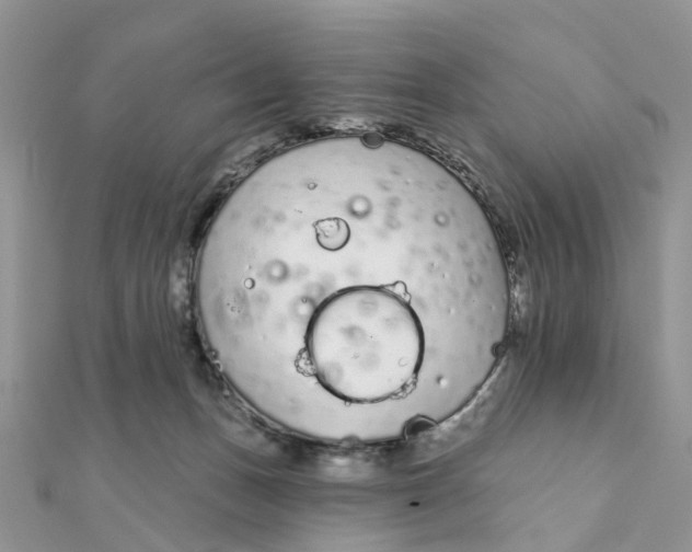 X0000111890175200908131703