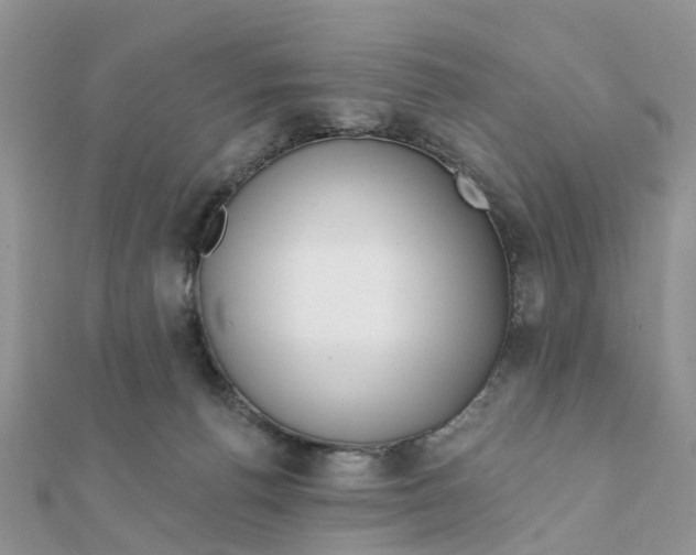 X0000111890176200908131703