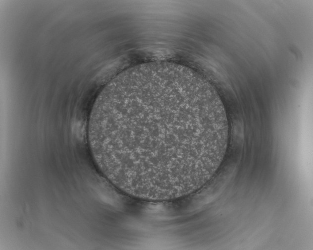 X0000111890177200908131703