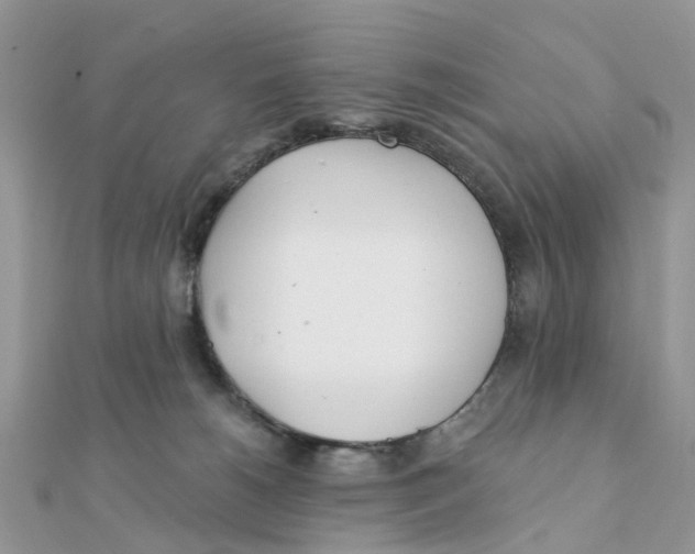 X0000111890180200908131703