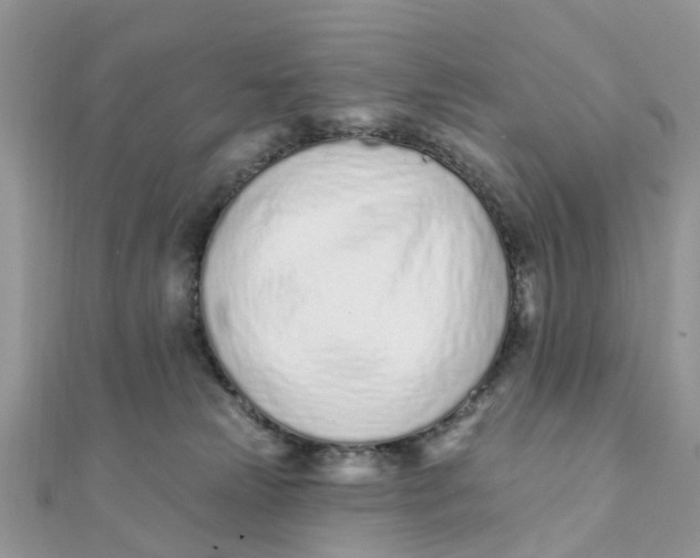 X0000111890181200908131703