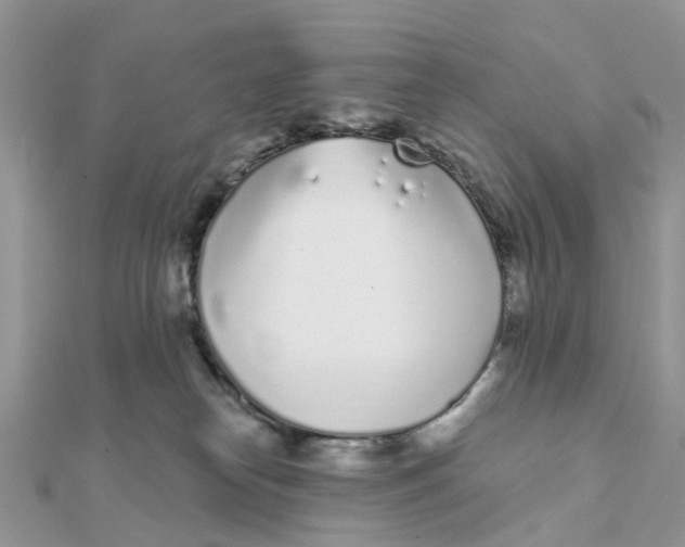 X0000111890182200908131703