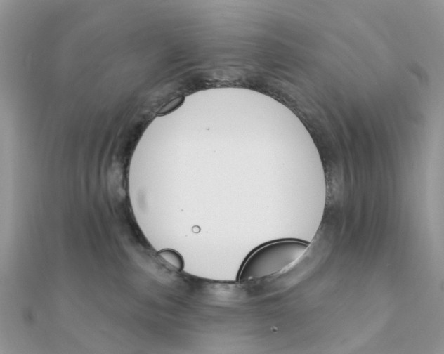 X0000111890187200908131703