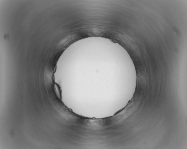 X0000111890188200908131703