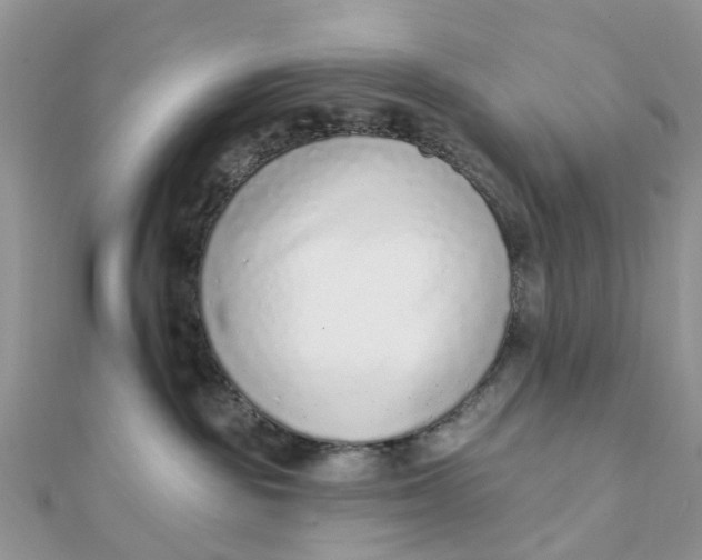 X0000111890189200908131703