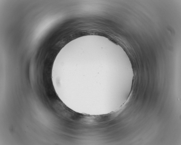 X0000111890190200908131703