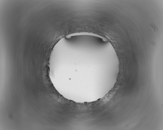 X0000111890192200908131703