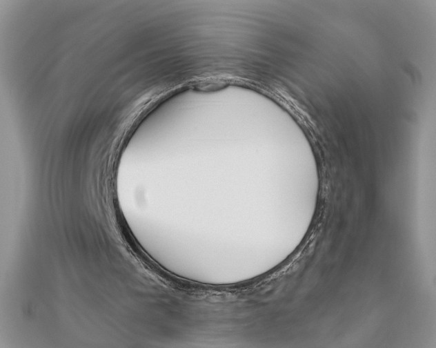 X0000111890193200908131702