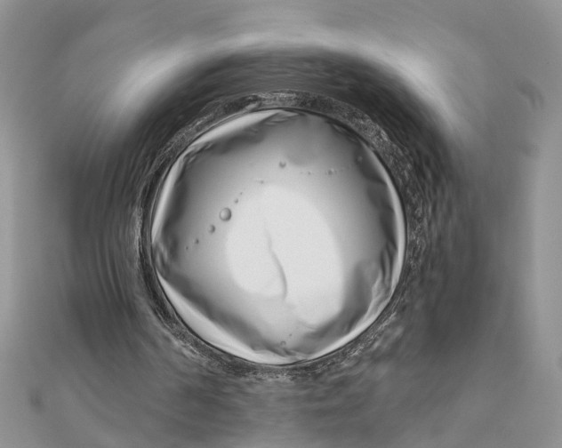 X0000111890194200908131702