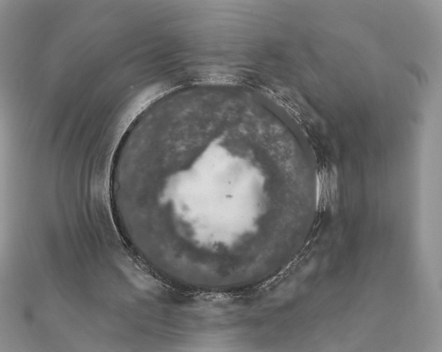 X0000111890195200908131702