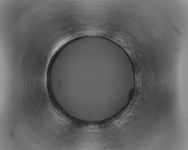 X0000111890196200908131702