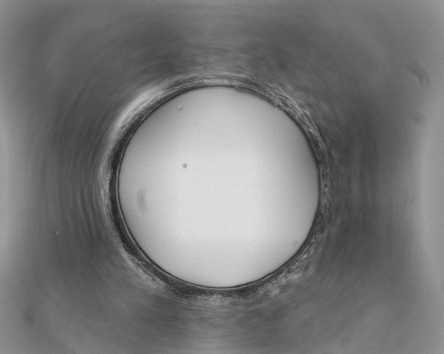 X0000111890197200908131702