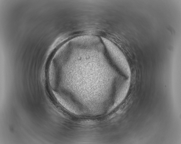 X0000111890198200908131702