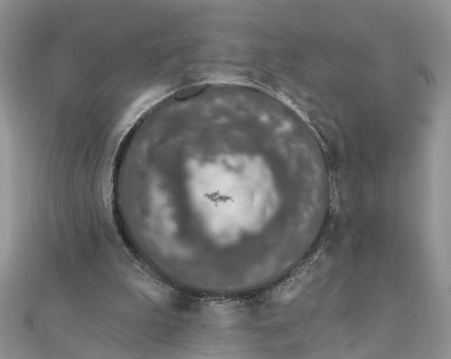 X0000111890199200908131702