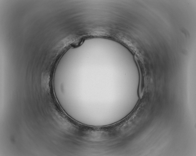 X0000111890201200908131702