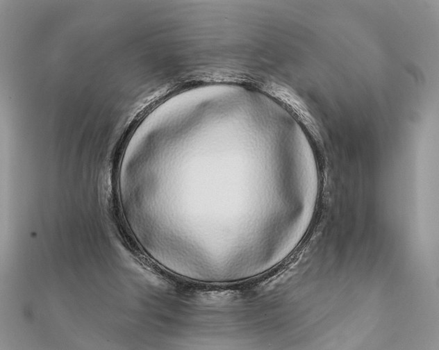 X0000111890202200908131702