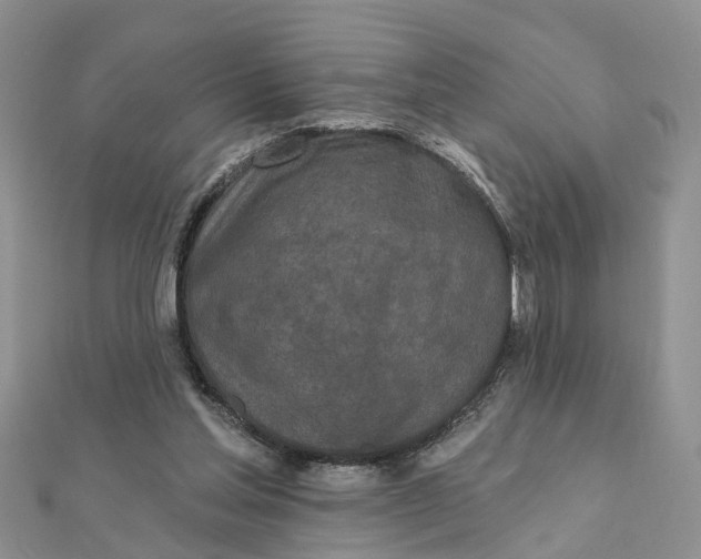 X0000111890205200908131702