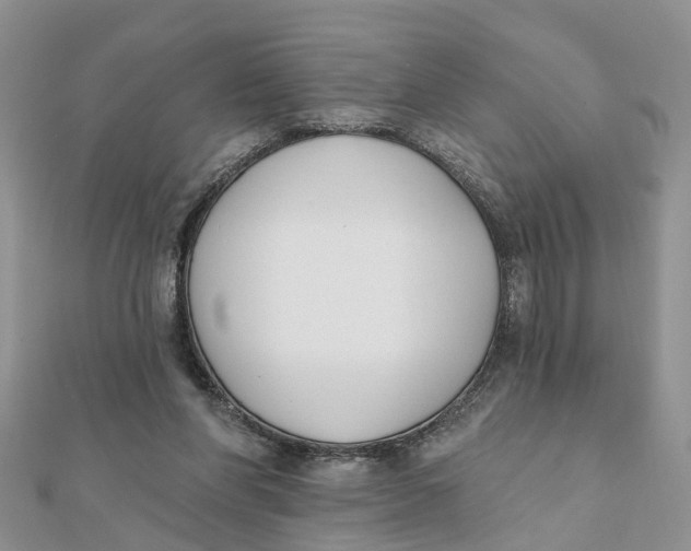 X0000111890206200908131702