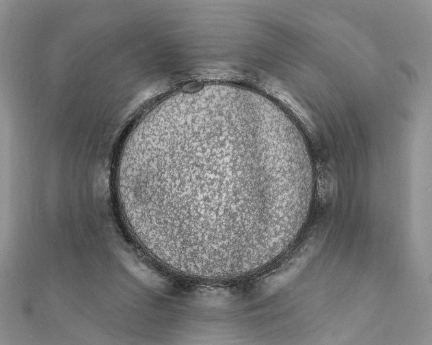 X0000111890207200908131702