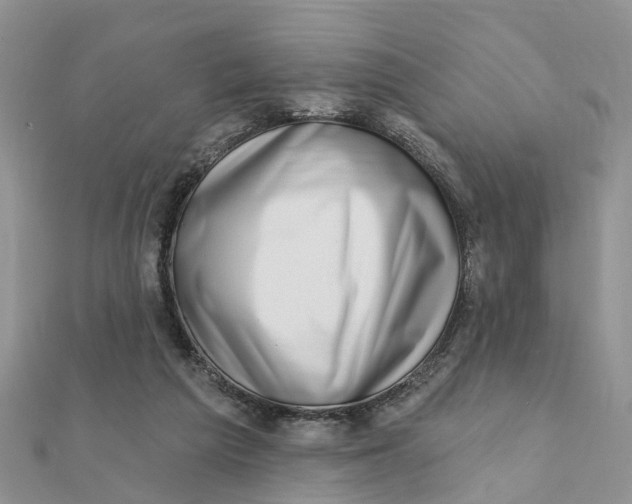 X0000111890209200908131702