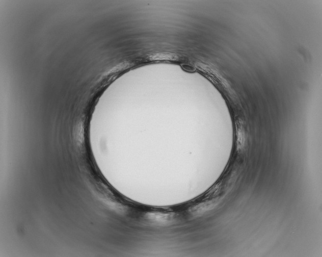 X0000111890211200908131702