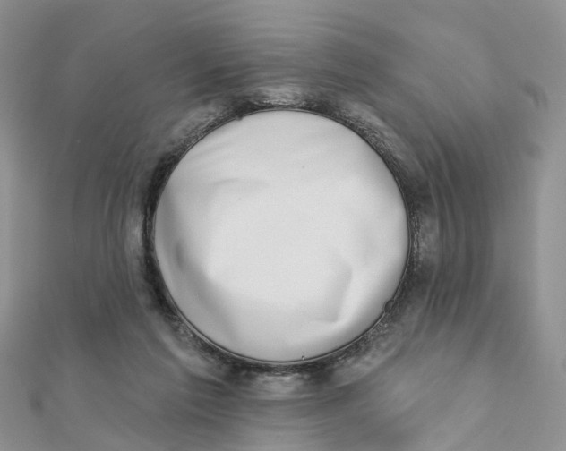 X0000111890213200908131702