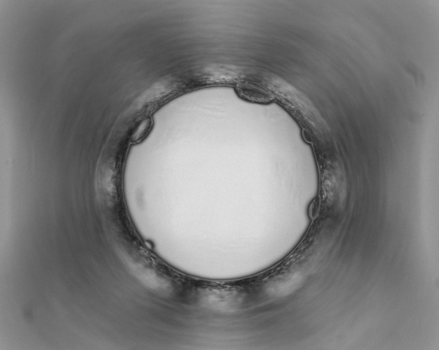 X0000111890215200908131702