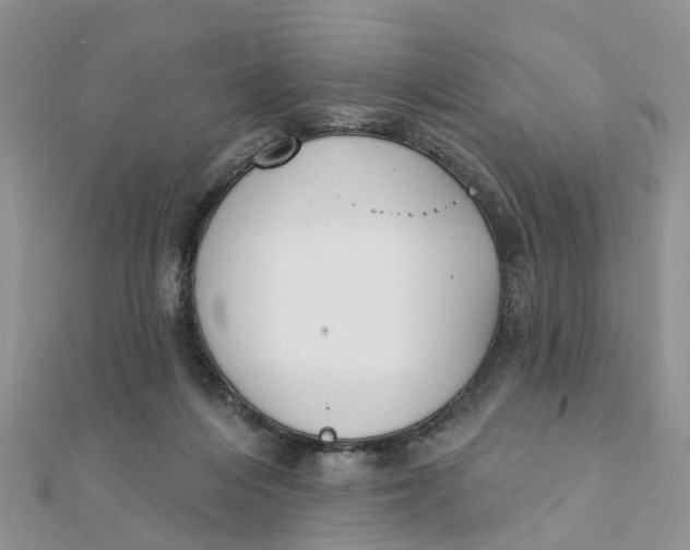 X0000111890216200908131702