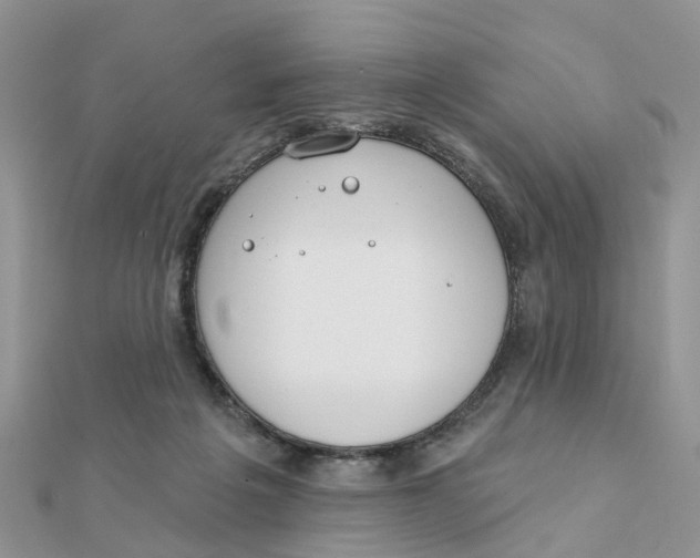 X0000111890217200908131702