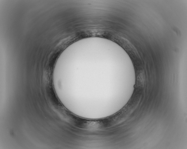 X0000111890218200908131702