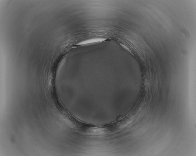 X0000111890219200908131702