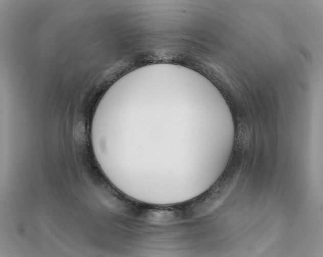 X0000111890220200908131702