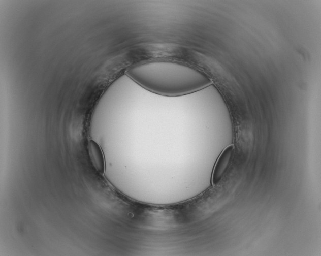 X0000111890221200908131702