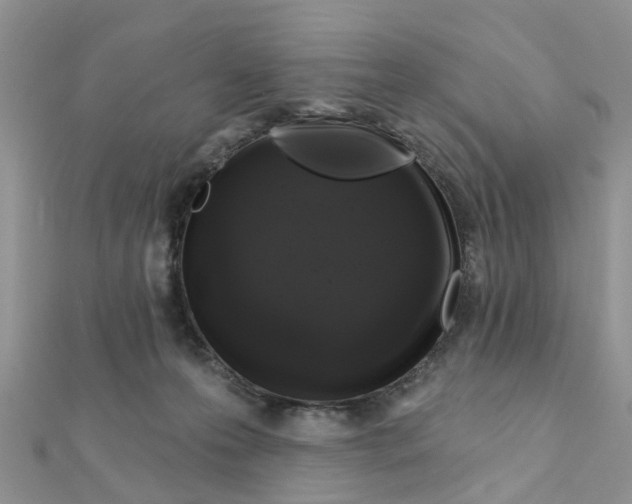 X0000111890223200908131702