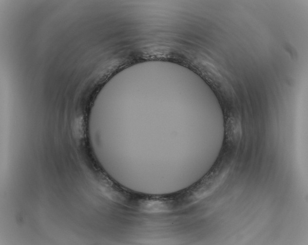 X0000111890224200908131702