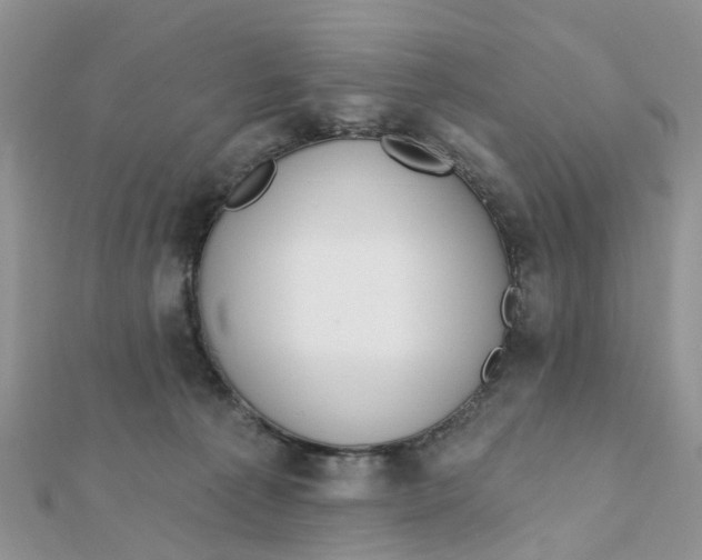 X0000111890225200908131702