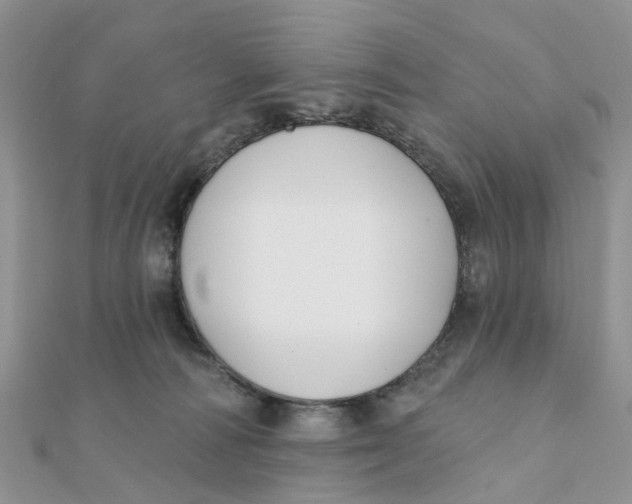 X0000111890226200908131702