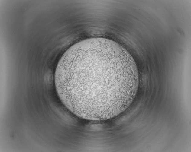 X0000111890228200908131702