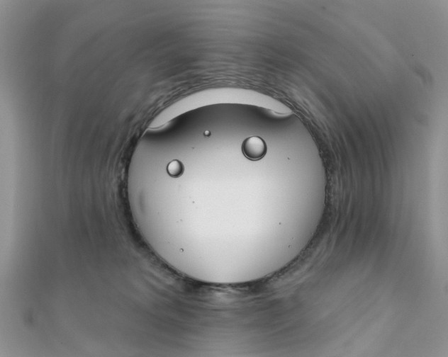 X0000111890229200908131702