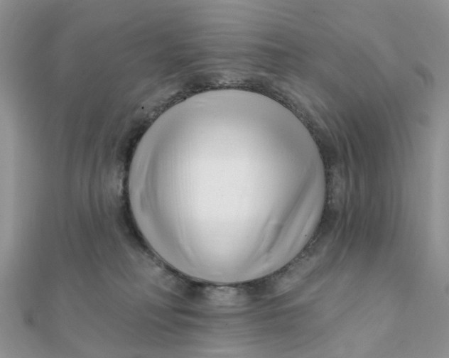 X0000111890230200908131702