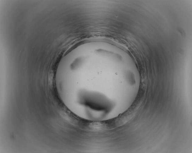 X0000111890231200908131702