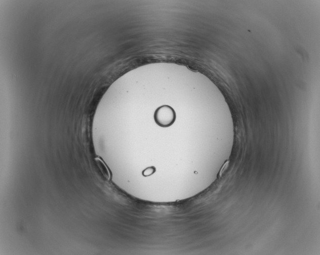 X0000111890233200908131702