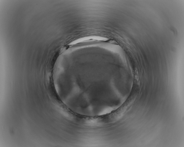 X0000111890235200908131702