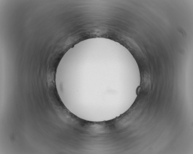 X0000111890236200908131702