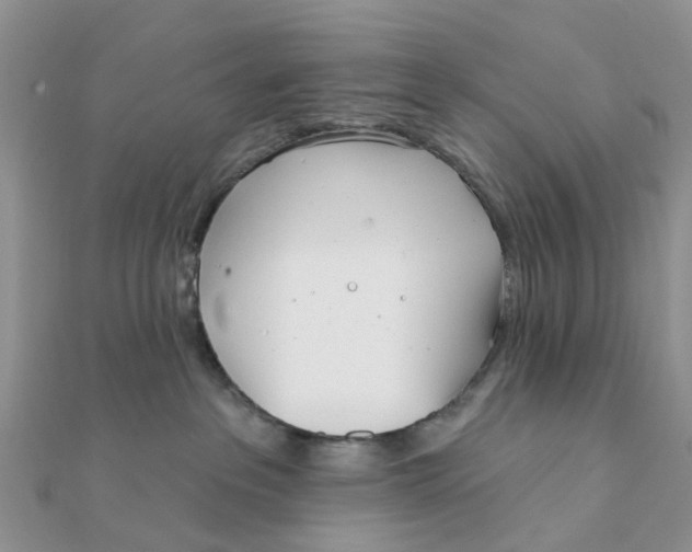 X0000111890237200908131702